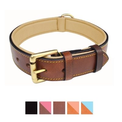 soft touch collar golden