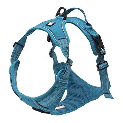 true love border collie harness