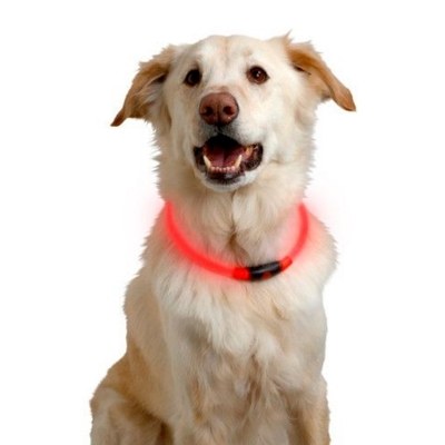 Nite collar led perro