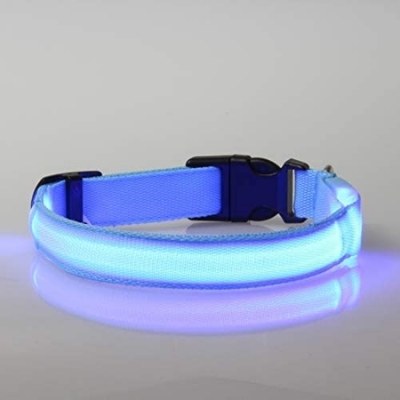 fpwbck collar perro