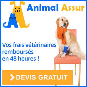 Animal Assur Banner 2