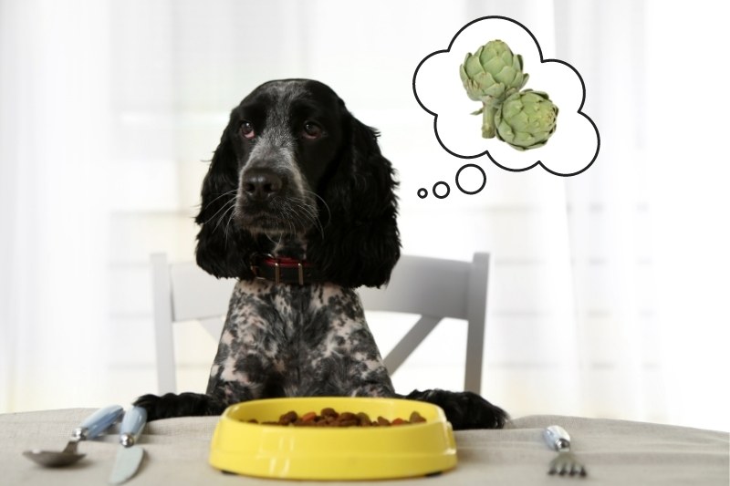 ¿Pueden los perros comer alcachofas?