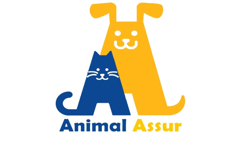 Animal Assur : une assurance simple et complète pour votre chien