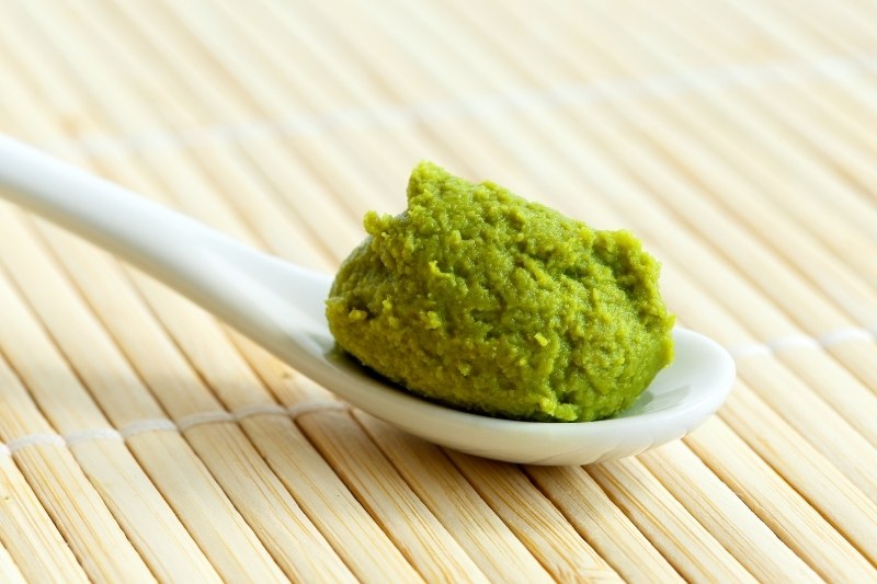 Can dogs eat wasabi?