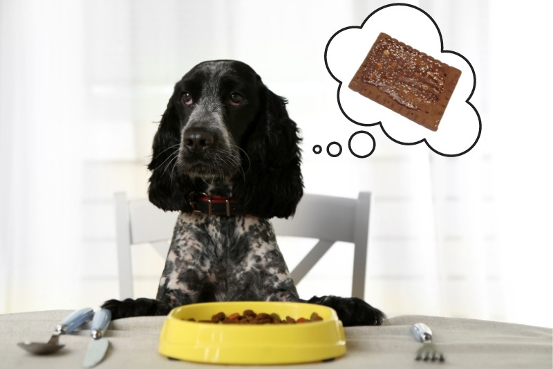 can dogs eat pop tarts