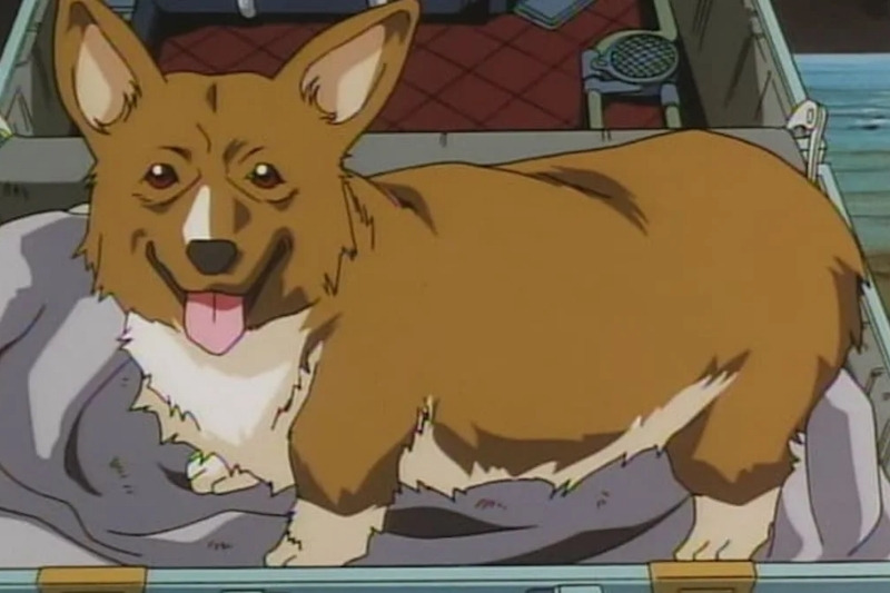 cowboy bebop dog