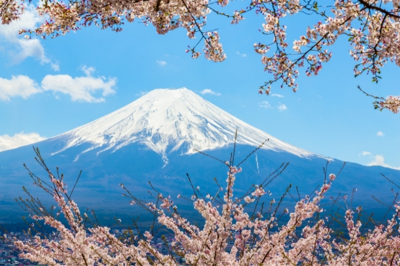 monte fuji