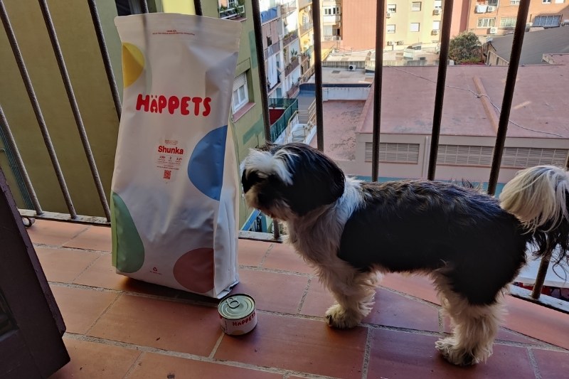 perro delante de comida happets