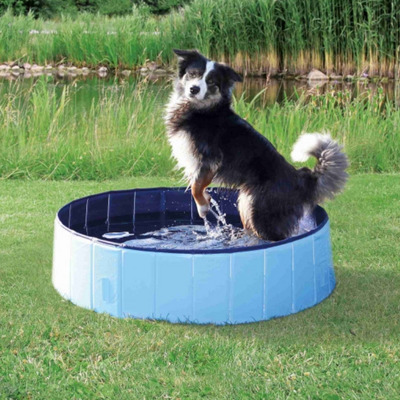 piscine chien trixie