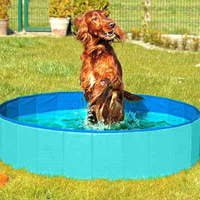 piscine doggy pool pour chien