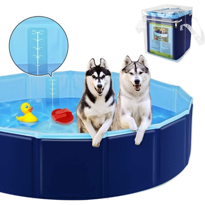 piscine yaobluesea chien
