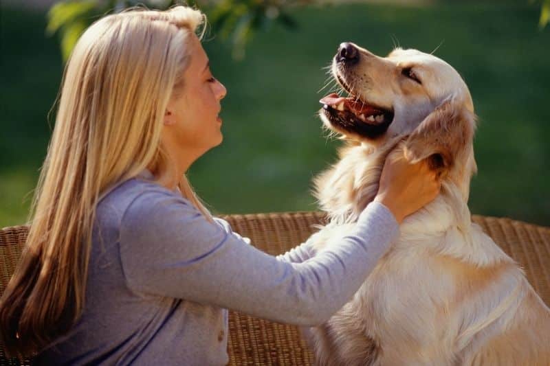 femme qui caresse les oreilles d'un chien