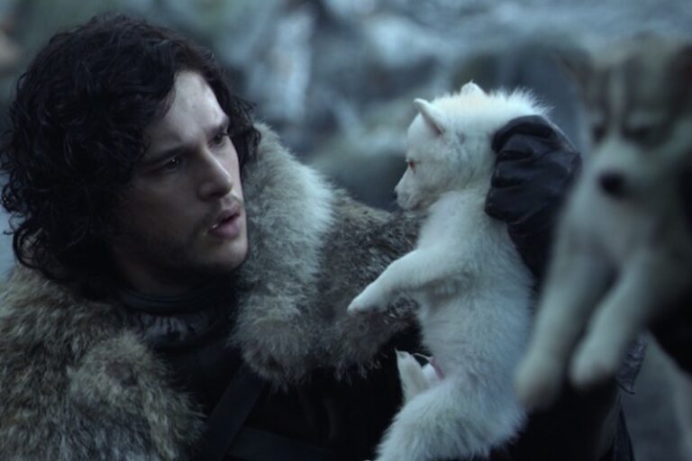 170+ Game of Thrones Dog Names