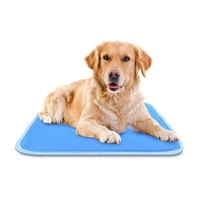 green pet shop dog cooling mat