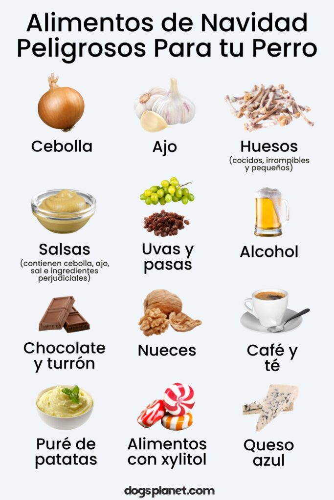 Alimentos Navidad Peligrosos para perros infografia