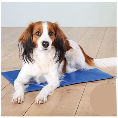 Alfombra refrescante para perros