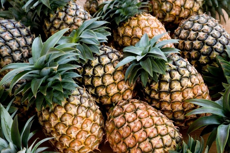 ananas