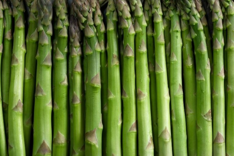 Can Dogs Eat Asparagus? The Answer From a Vet