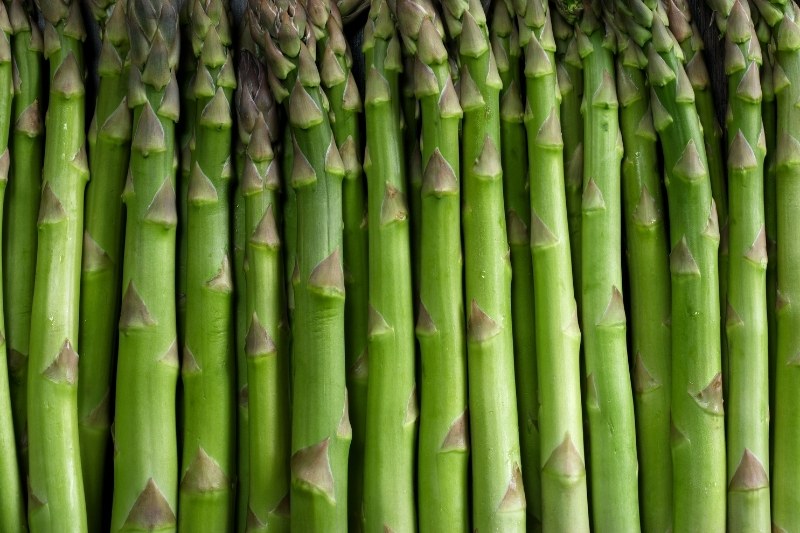 asparagus