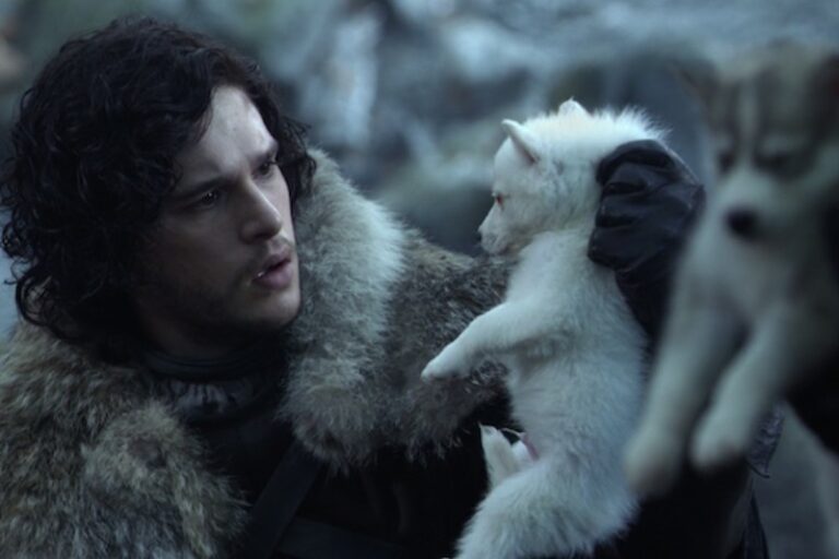 jon snow con cachorro