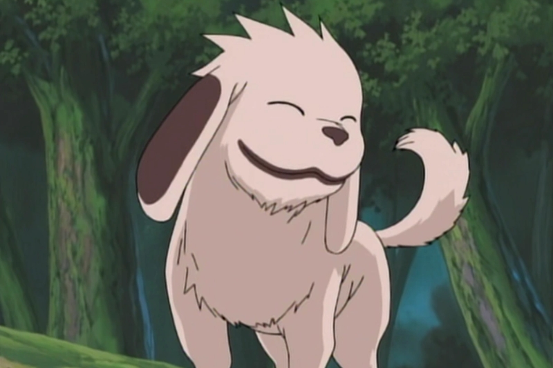 naruto dog