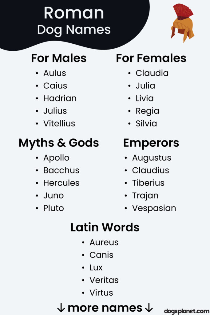 Roman Dog Names