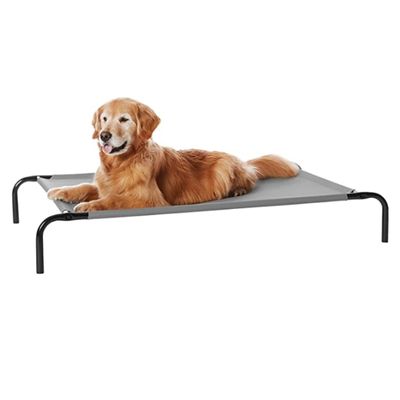 cama elevada Amazon Basics para perros grandes