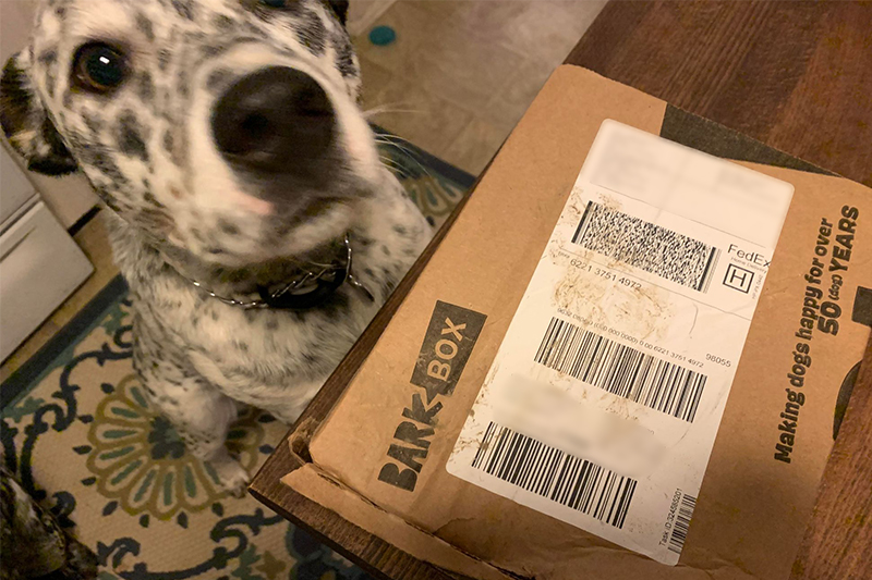 gojira barkbox tester