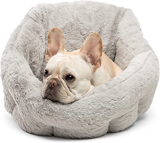 Best Friends Dog Bed by Sheri