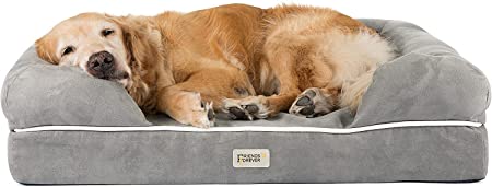 Best bed for Friends Forever Memory Foam