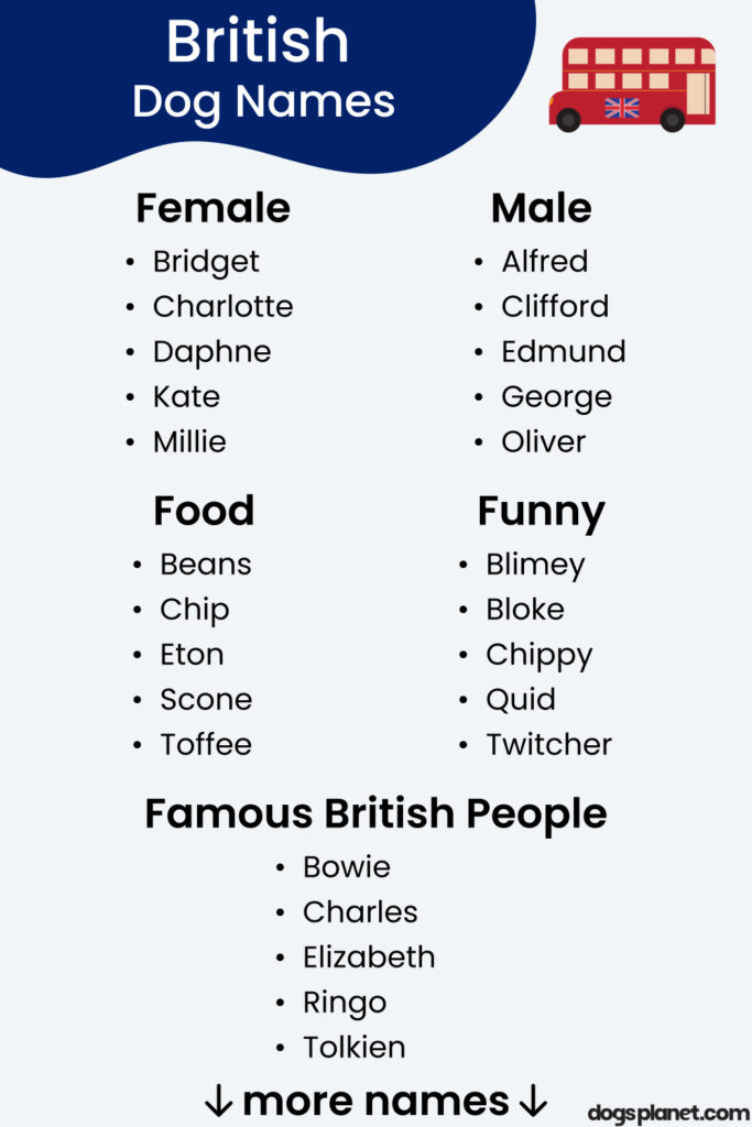 British Dog Names