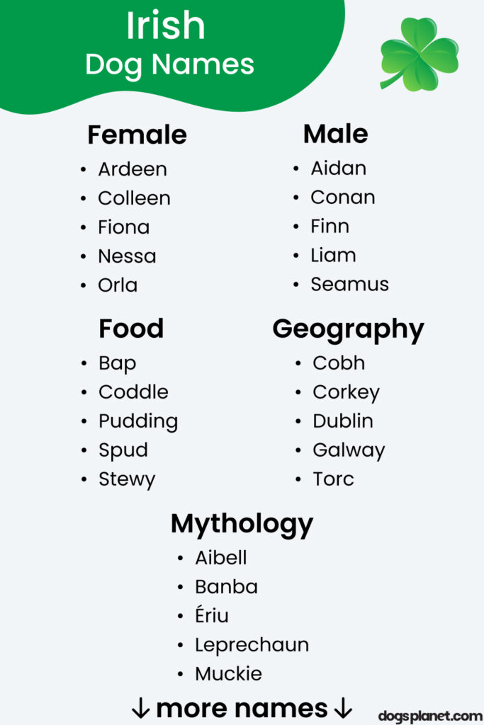 Irish Dog Names