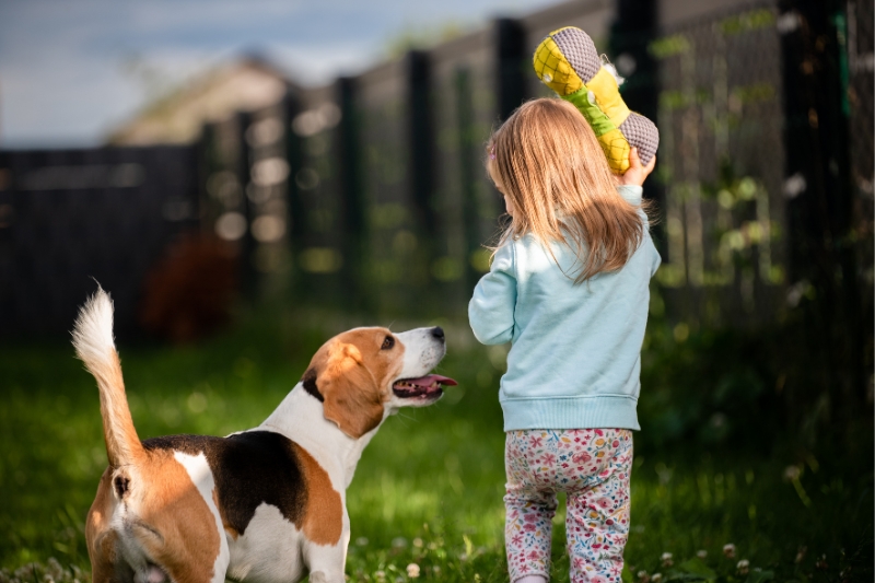 beagle con una nina