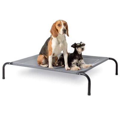 cama elevada para perros bedsure