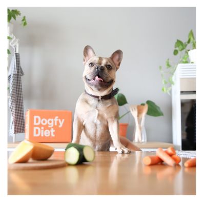 dogfy diet
