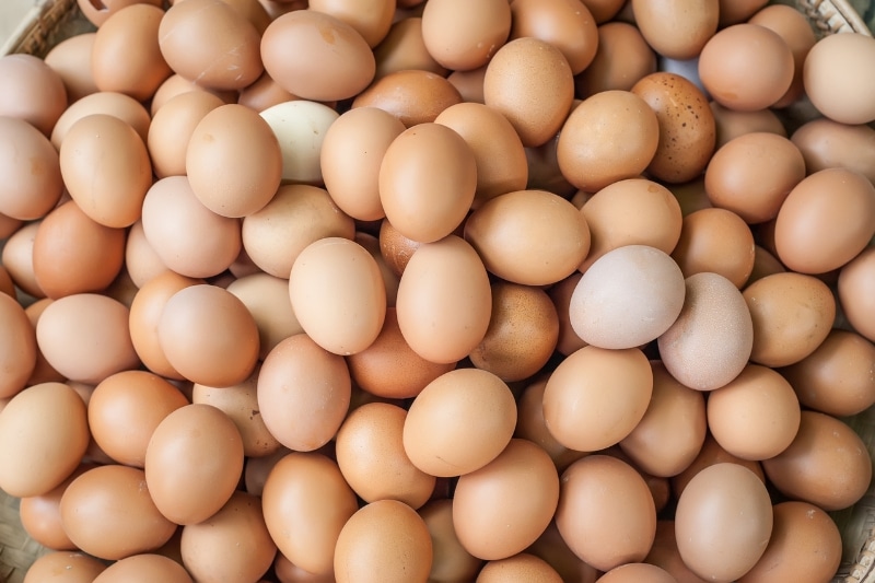 huevos