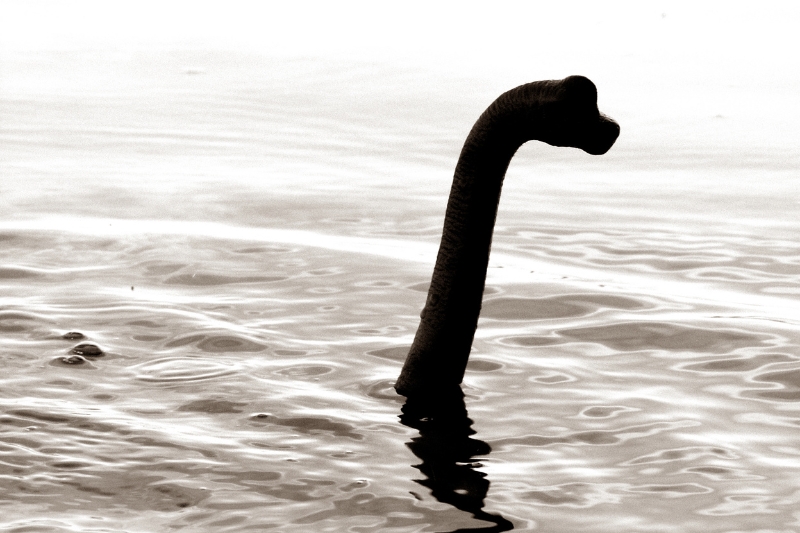 loch ness monster