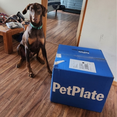 PetPlate Review