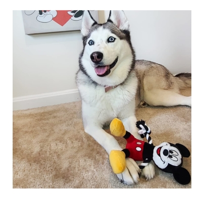 Disney Mickey Plush Toy With Rope