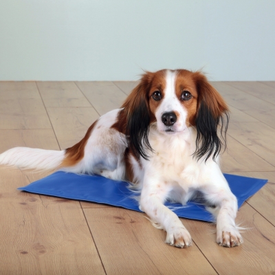 Tapis rafraichissant pour chien de Trixie