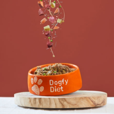 dogfy diet buey