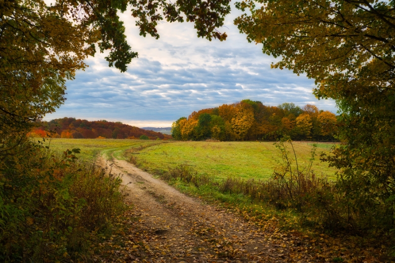 hungary landscape