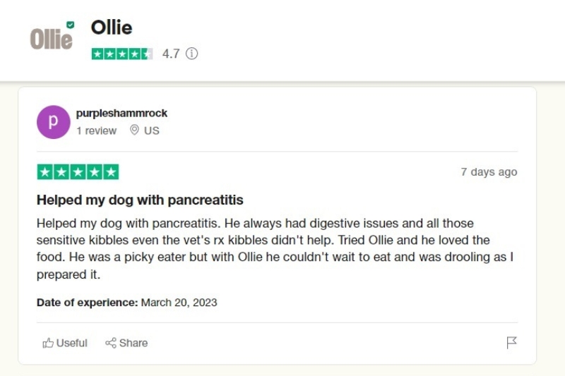 ollie dog food reviews online