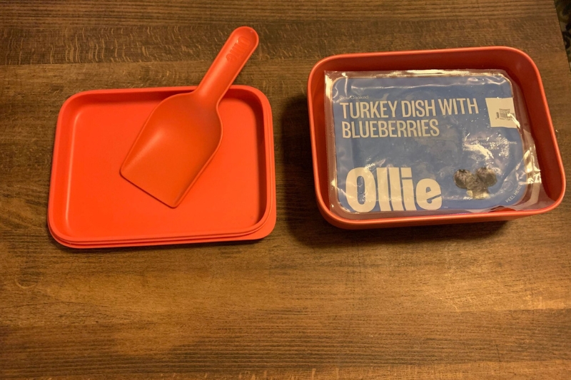 ollie dog food scoop and puptainer