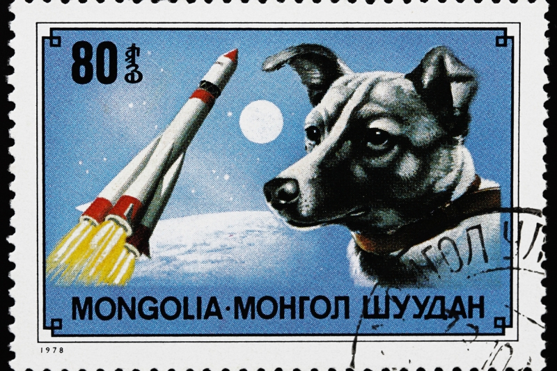 laika stamp