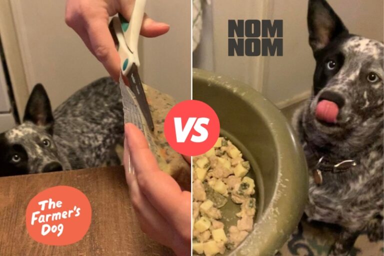 Nom Nom vs The Farmer’s Dog : We Tried Them Both, Here’s Our Breakdown