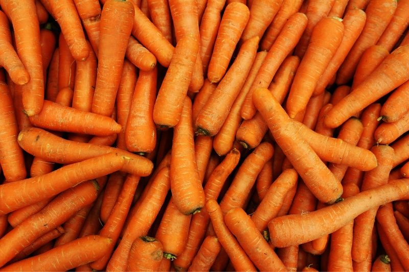 zanahorias