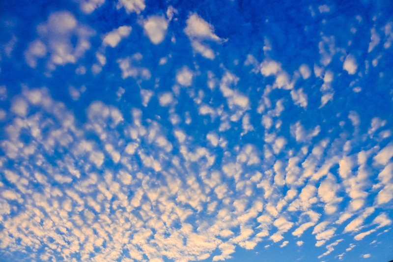 cirrus clouds