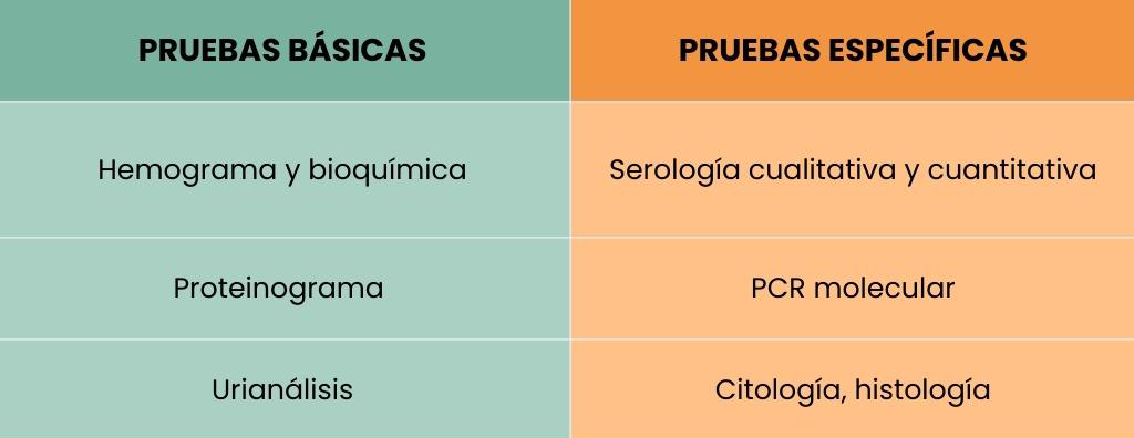 pruebas leishmaniasis