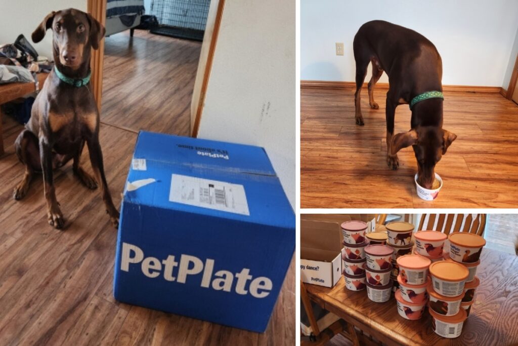 Petplate fresh dog food collage